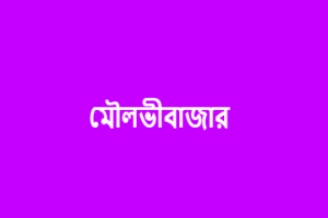 মৌলভীবাজারে ধ র্ষ ণে র অ*ভিযোগে যুবক আ ট ক