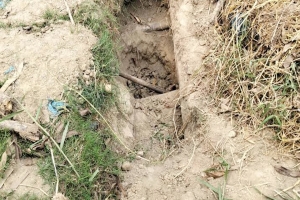 কবরস্থান থেকে চারটি ক ঙ্কা ল চু*রি