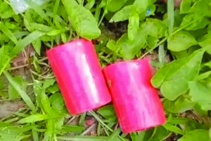 বিএনপি কার্যালয়ের সামনে থেকে ক ক টে ল উদ্ধার বিএনপি কার্যালয়ের সামনে থেকে ক ক টে ল উদ্ধার