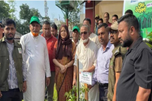 প্রধানমন্ত্রীর কর্মসূচির অংশ হিসেবে কুলাউড়ায় বৃক্ষরোপণ কর্মসূচির উদ্বোধন