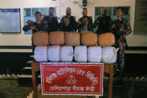 মাধবপুরে ১০০ কেজি গাঁ*জা উদ্ধার, আ*টক ২