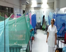 ডেঙ্গু আক্রান্ত হয়ে নয়জনের মৃত্যু