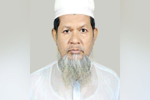 ইউনিয়ন বিএনপির সম্পাদক হলেন উপদেষ্টা মাহফুজের বাবা