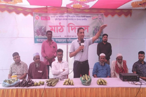 জৈবিক পদ্ধতিতে চাষাবাদের আহ্বান কৃষিবিদ আনিসুজ্জামানের