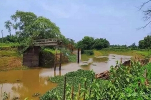 নাইয়াদাঁড়া নদীর ওপর ৯ বছরেও সং স্কা র হয়নি সেতু