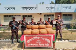 মাধবপুরে  ৫৫ বিজিবির অভিযানে ৭৩ কেজি ভারতীয় গাঁ জা জ*ব্দ