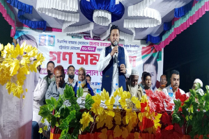 ‘ঐক্যবদ্ধ জনমত গড়ে তুলে ধানের শীষের বিজয় নিশ্চিত করতে হবে’- হেলাল উদ্দিন আহমেদ