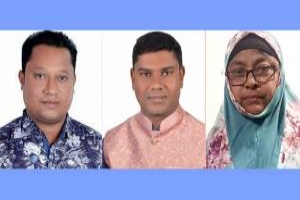 আজমিরীগঞ্জ উপজেলায় বিজয়ী হলেন যারা