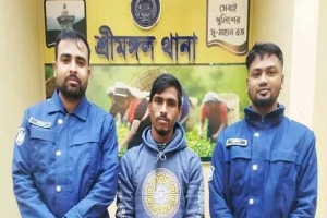 শ্রীমঙ্গল সাজাপ্রাপ্ত আসামি গ্রে ফ তা র
