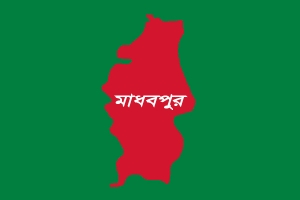 ফেরিওয়ালার সাথে পালালেন মাধবপুরের স্কুল শিক্ষিকা