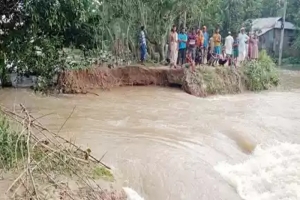 হবিগঞ্জের বাহুবলে করাঙ্গী নদীতে ভাঙ্গনের ফলে ফসলী জমি ও বাড়িঘর প্লাবিত 