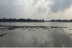 ছাতকে তথ্য গোপন ও জালিয়াতি করে ইজারা দাখিলের অভিযোগ