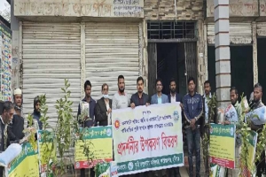 শায়েস্তাগঞ্জে জমি ও বাড়ির আঙিনায় পারিবারিক পুষ্টি বাগান স্থাপনে বীজ ও উপকরণ বিতরণ