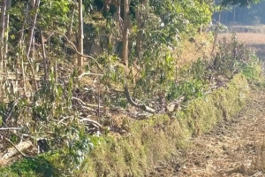বড়লেখায় জনসাধারণের চলাচলের রাস্তায় প্র*তিব*ন্ধকতার অ*ভিযোগ বড়লেখায় জনসাধারণের চলাচলের রাস্তায় প্র*তিব*ন্ধকতার অ*ভিযোগ