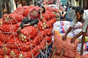 এক দিনের পেঁয়াজে কারবারে ৪৮ কোটি টাকা লুটপাট