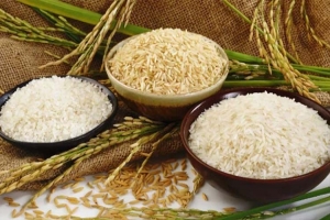 ধান-চাল কেনায় নতুন দর নির্ধারণ