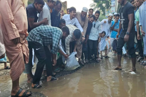 সড়কে মাছ ছেড়ে হাসনাত আবদুল্লাহর প্রতিবাদ