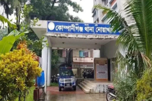 অটোরিকশার ধা ক্কায় প্রা ণ গেলো দুই শিশুর