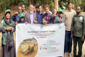 মৌলভীবাজারে ৬টি হলুদ কচ্ছপ লাউয়াছড়া বনে অবমু*ক্ত