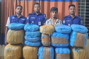 মাধবপুরে ৪০ কেজি গাঁ*জা উ দ্ধা র  