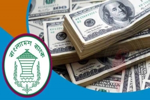 ১৯ দিনে রেমিট্যান্স এলো ১৮ হাজার ৩৯১ কোটি টাকা