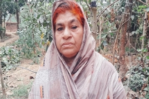 স্বীকৃতি না পেয়েই চলে গেলেন বীরাঙ্গনা জয়গুন