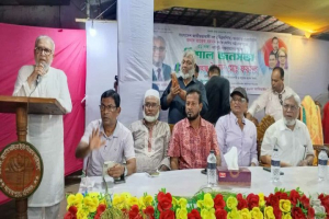 তারেক রহমানের ৩১ দফা বাস্তবায়নে মাধবপুরে বিএনপির বিশাল জনসভা