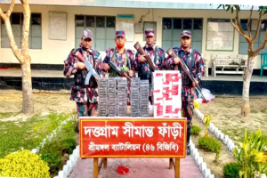 মৌলভীবাজারে ১৩ লাখ টাকার ভা*রতীয় পণ্য জ*ব্দ