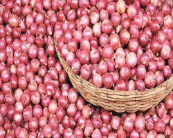পেঁয়াজ আমদানির পরও কমছে না দাম
