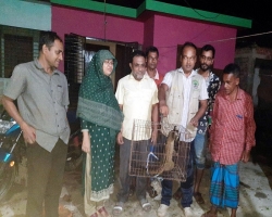 বিলুপ্ত প্রজাতির গন্ধগোকুল উদ্ধার করে লাউয়াছড়ায় অবমুক্ত