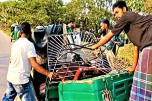 টাঙ্গাইলে বাস ও সিএনজিচালিত অটোরিকশার মুখোমুখি সংঘর্ষে নি হ ত ৩