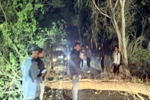  সিলেটসহ সারাদেশে ১৪শ ডা কা ত শনাক্ত, ধরতে মাঠে নামছে পু লি শ