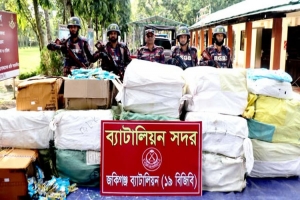সিলেটে ১৯ বিজিবির অভিযানে ২৭ লাখ টাকার ভারতীয় কসমেটিকস জব্দ
