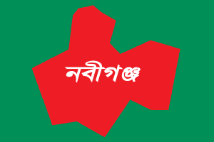 নবীগঞ্জের সড়কে প্রা*ণ গেল শিশুর