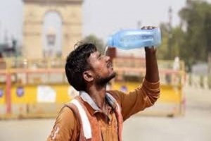 ভারতে হিট স্ট্রোকে ৩৩ পোলিং কর্মীর মৃত্যু