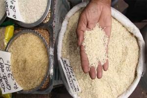 চাল রপ্তানিতে নি ষেধাজ্ঞা তুলে নিলো ভারত
