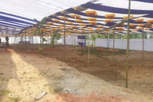 মৌলভীবাজারে আজ থেকে শুরু হচ্ছে জেলা ইজতেমা