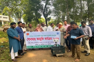 বড়লেখায় পোনা মাছ অবমুক্ত