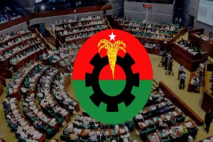 বিএনপির মনোনয়ন প্রত্যাশীদের সাক্ষাৎকার আজ