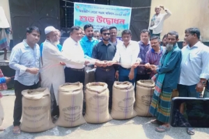 তাহিরপুরে বোর ধান সংগ্রহ অ ভি যা নে র উদ্বোধন 