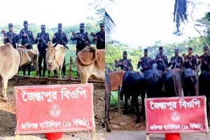 জৈন্তাপুরে ৭৪ লাখ টাকার ভা/রতীয় মহিষ-গরু ও শাড়ি জ/ব্দ জৈন্তাপুরে ৭৪ লাখ টাকার ভা/রতীয় মহিষ-গরু ও শাড়ি জ/ব্দ