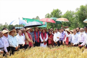 কৃষকের উন্নয়নের জন্য সরকার কাজ করে যাচ্ছে: হবিগঞ্জে কৃষিমন্ত্রী