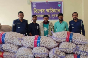 সুনামগঞ্জে ভারতে পা চা র কালে বিপুল পরিমাণ রসুন জ ব্দ : আ ট ক ৩