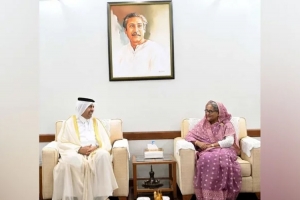 গাজায় শান্তি প্রতিষ্ঠায় ওআইসিকে একসঙ্গে কাজ করা উচিত: প্রধানমন্ত্রী