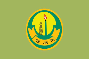 সিলেটে ১৬ দিনে গ্রে*প্তার ৫৪ ছি*নতাইকারী