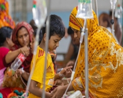 চলতি বছরে ডেঙ্গুতে মৃত্যু ৯০০ ছাড়াল