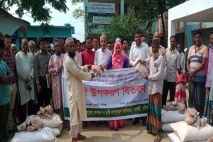 লাখাইয়ে কৃষকদের মধ্যে কৃষি উপকরণ বিতরণ শুরু