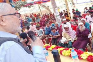 হবিগঞ্জ ৪ আসনে শান্তি–নিরাপত্তার দাবিতে চা শ্রমিকদের পছন্দ সৈয়দ ফয়সল