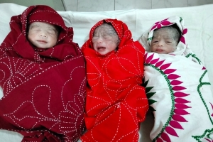 একসঙ্গে তিন সন্তানের মা হলেন ডলি, আনন্দে ভাসছে পরিবার একসঙ্গে তিন সন্তানের মা হলেন ডলি, আনন্দে ভাসছে পরিবার
