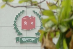 বাহুবলে উপজেলা পরিষদ নির্বাচনে ২০ প্রার্থীর মনোনয়নপত্র দাখিল 